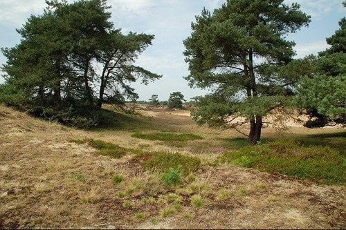 Ga op expeditie
