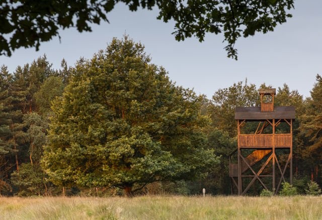 Doldersummerveld