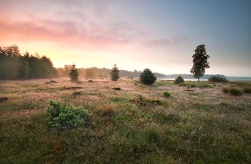 Nationaal Park Dwingelderveld