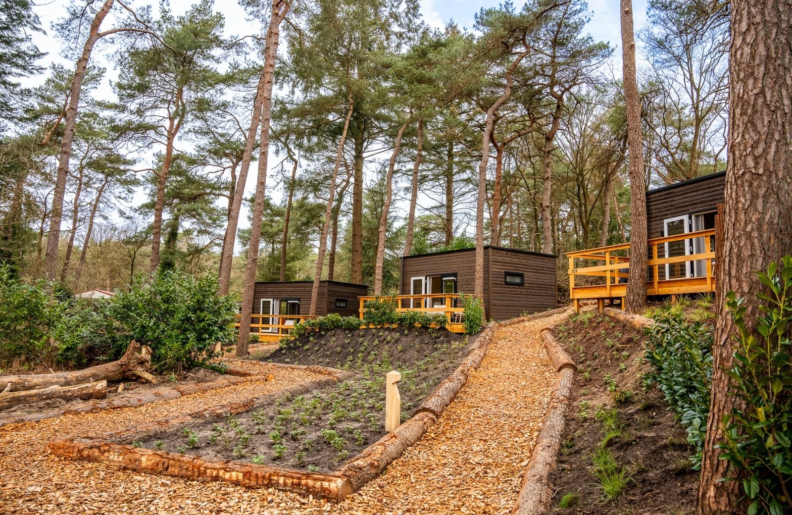 Tiny houses drenthe
