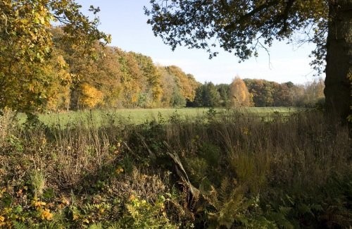 Fietsen en wandelen