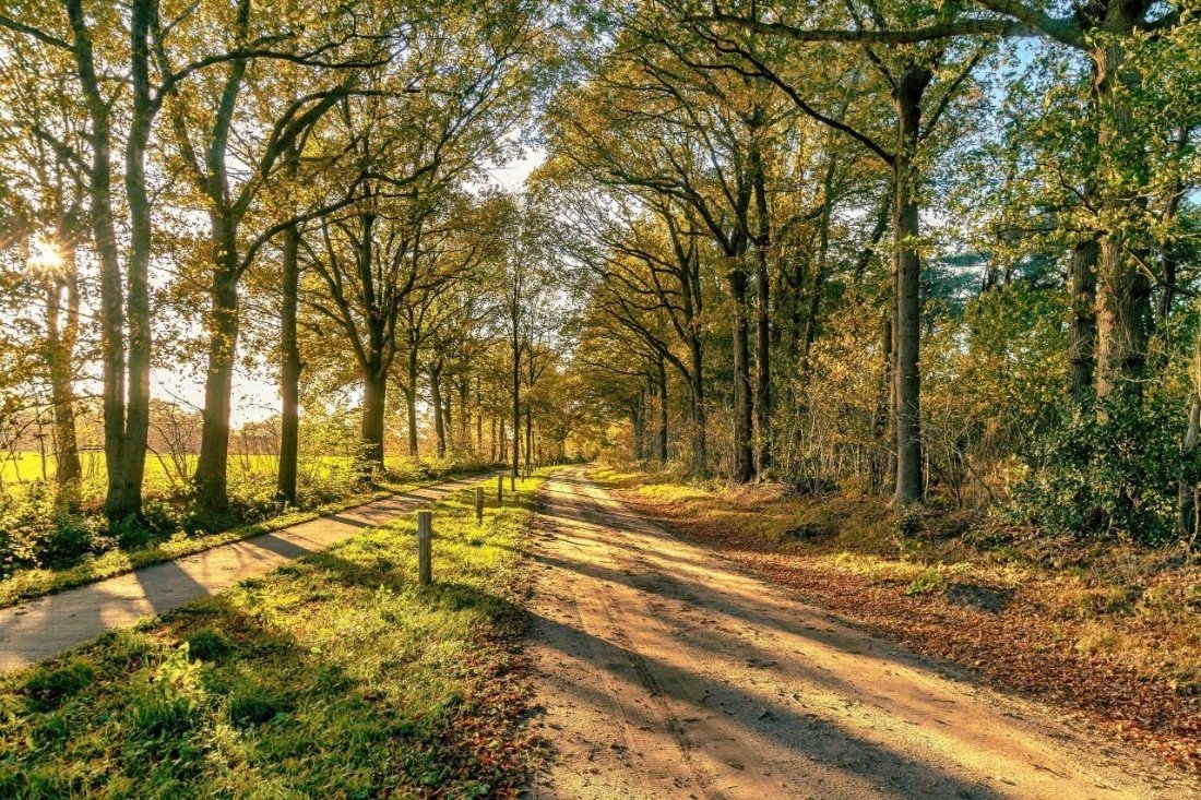 Wandelen in Drenthe tijdens weekend weg