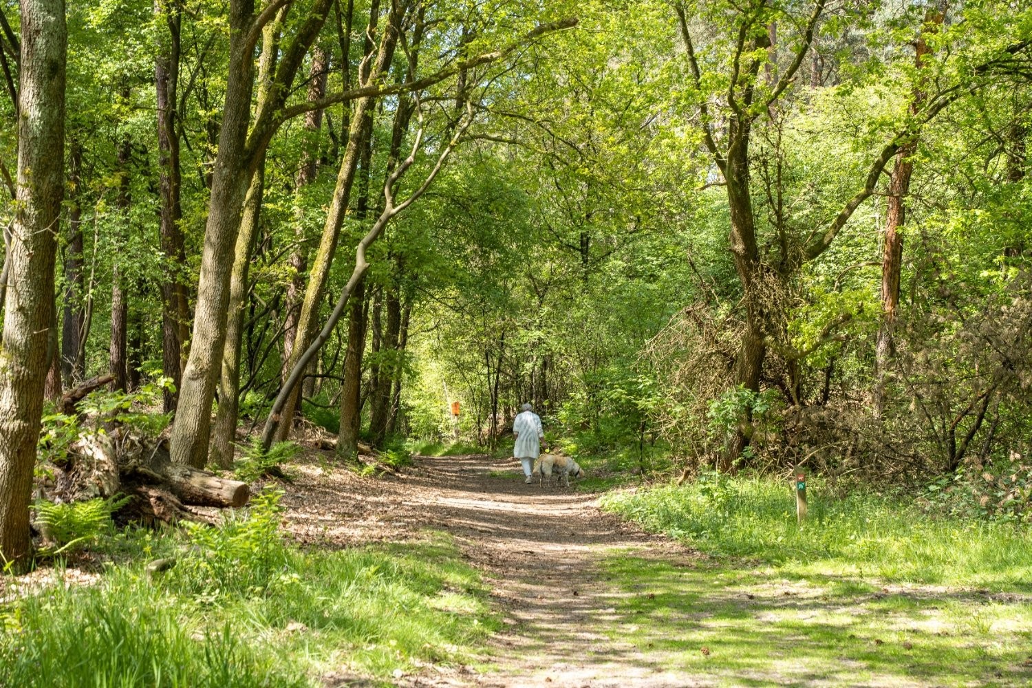 Wandelvakantie nederland